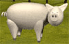 Avatar de l’utilisateur