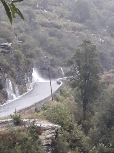 IMG_4383.jpg