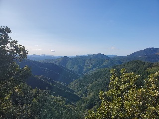 20231016_174617.jpg