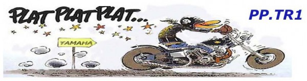 header_article_tmpphpm22oGS.jpg